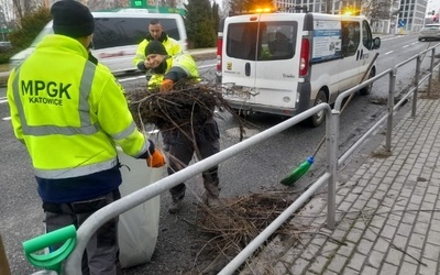 Katowice. Podsumowanie działań po weekendowych wichurach