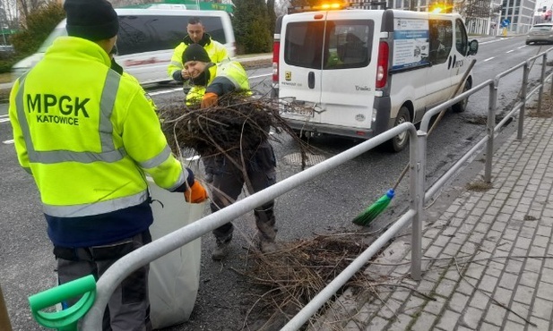 Katowice. Podsumowanie działań po weekendowych wichurach