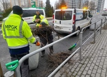 Katowice. Podsumowanie działań po weekendowych wichurach