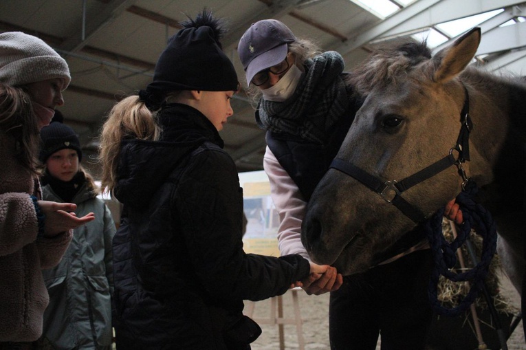 Dobre zwyczaje mieszkańców stajni. Ferie w LKJ Lewada