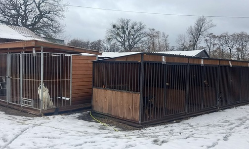 Chorzów. Schronisko Psia Chata zdemolowane przez wichurę apeluje o pomoc