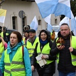 Pielgrzymka z Międzyrzecza do Rokitna