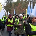 Pielgrzymka z Międzyrzecza do Rokitna