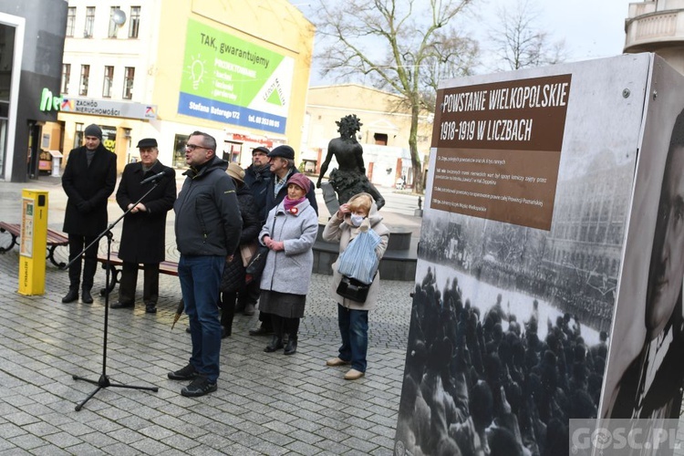 Zielona Góra. Wystawa o zwycięskim Powstaniu Wielkopolskim