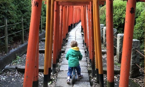 Japonia