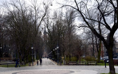 Nabór wniosków trwa do 28 lutego br. Na zdjęciu park Tadeusza Kościuszki w Radomiu.