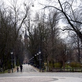 Nabór wniosków trwa do 28 lutego br. Na zdjęciu park Tadeusza Kościuszki w Radomiu.