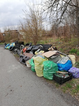 Katowice. Biegi, żagle i pomysły dla lokalnej społeczności