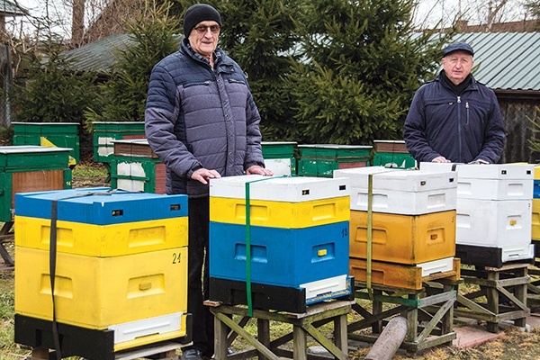 Mieczysław Rawski z Jerzym Pisarkiem, skarbnikiem koła, w swojej pasiece na osiedlu Miechocin.