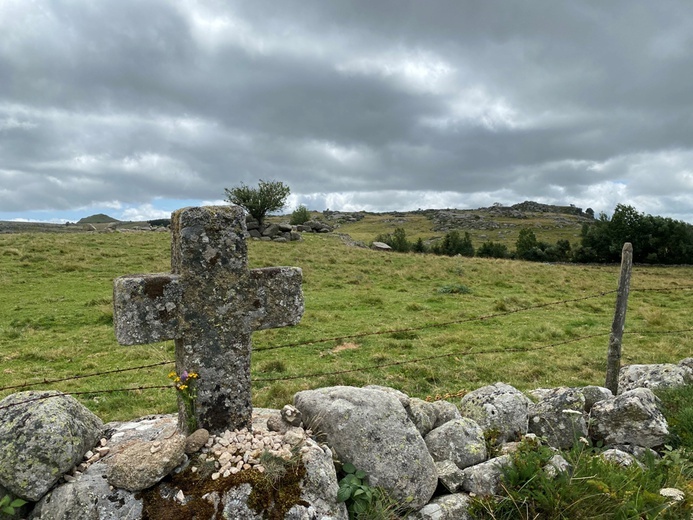 Z Gdyni do Santiago de Compostela