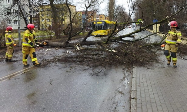 Śląskie. 1313 interwencji w związku z silnym wiatrem 