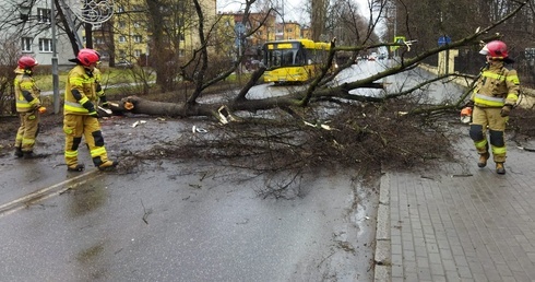 Śląskie. 1313 interwencji w związku z silnym wiatrem 