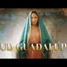 Cud Guadalupe | Zwiastun PL