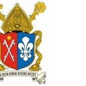 Brak tytułu