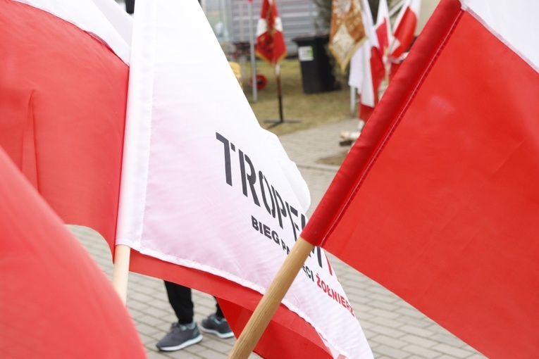 Bieg "Tropem Wilczym" w Świdnicy