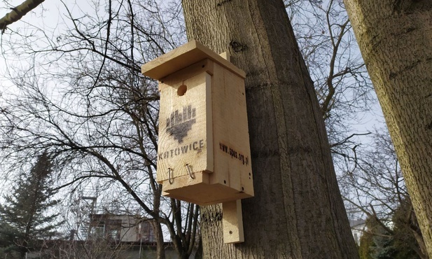 Sto budek lęgowych dla ptaków ma do rozdania miasto Katowice