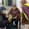 Wrocław zapełniony. Uchodźcy powinni trafiać do innych miast Dolnego Śląska