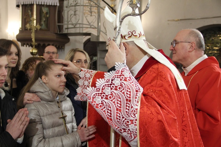 Książnice. Poświęcenie odnowionej drogi krzyżowej i bierzmowanie