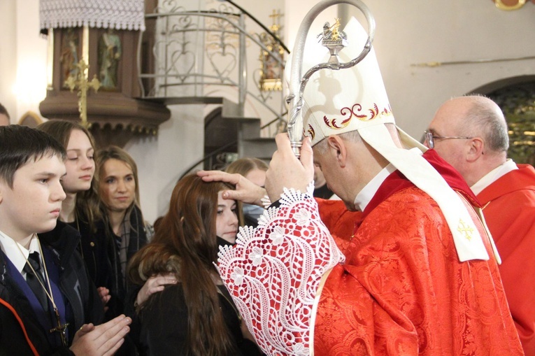 Książnice. Poświęcenie odnowionej drogi krzyżowej i bierzmowanie