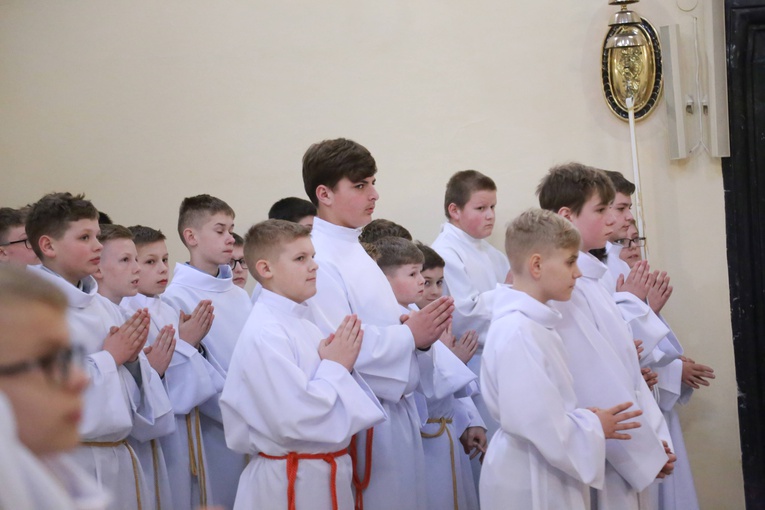 Radomyśl Wielki. Nowi lektorzy