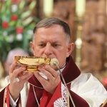 Inauguracja Roku św. abp. Józefa Bilczewskiego w Wilamowicach