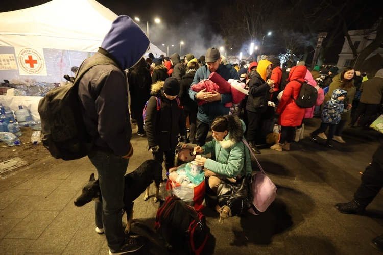 W bazylice Mariackiej wojenne zdjęcia z Ukrainy