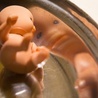 Komitet Legalna Aborcja Bez Kompromisów złożył w Sejmie 200 tys. podpisów pod projektem ustawy ws. przerywania ciąży