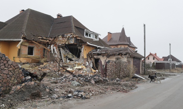 Arestowycz o zbrodniach na cywilach pod Kijowem - powinny wstrząsnąć światem