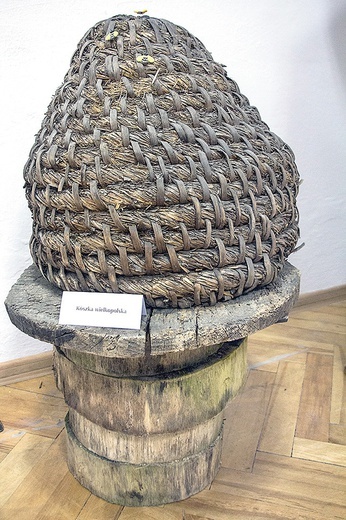 Kószka wielkopolska.