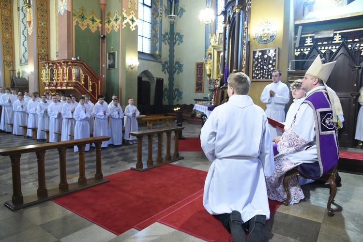 Lektorzy w Nawojowej