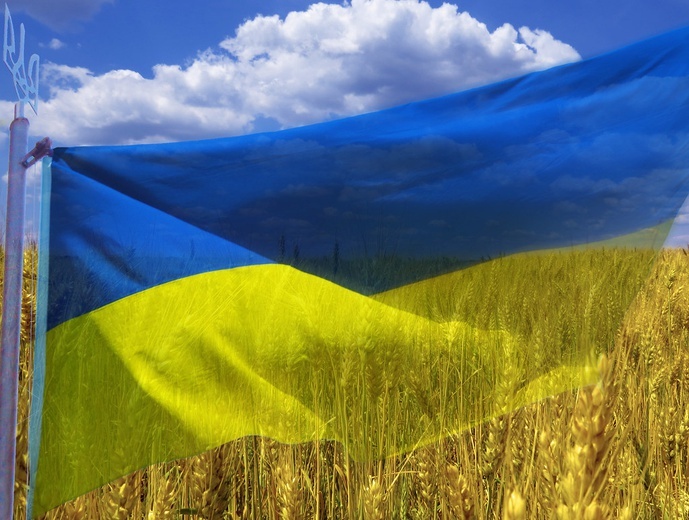 Ukraińcy dziękują Polakom, sprzątając nasze miasta