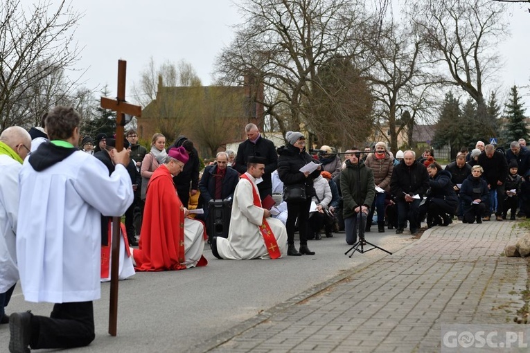 Poświęcenie przydrożnych krzyży w Korytach