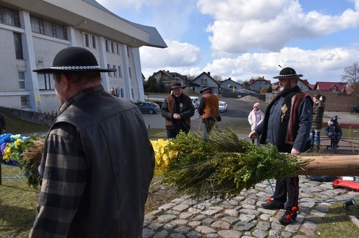 W Gdańsku górale zainstalowali ogromną wielkanocną palmę