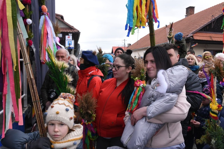 Lipnickie palmy 2022