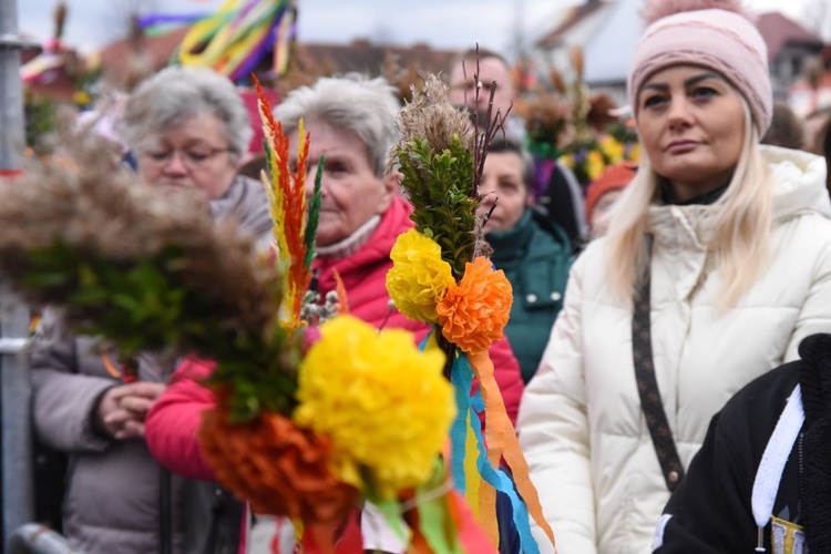 Lipnickie palmy 2022