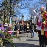 Niedziela Palmowa w Piekarach Śląskich 