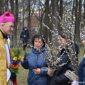 Niedziela Palmowa w Piekarach Śląskich 