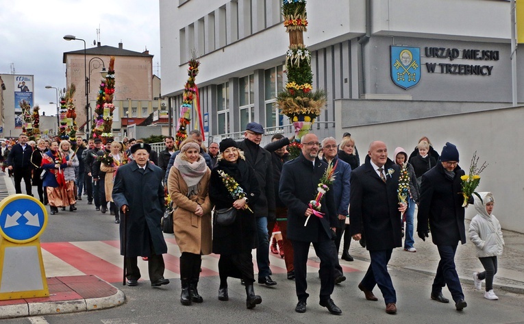 Gmina Trzebnica palmami stoi