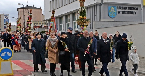 Gmina Trzebnica palmami stoi