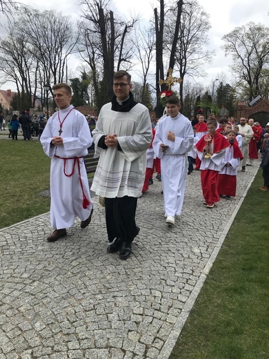 Niedziela Palmowa w diecezji świdnickiej