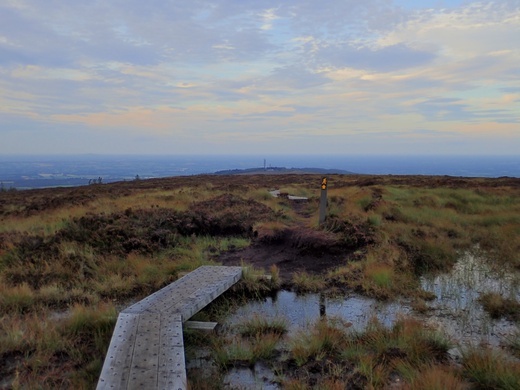 Irlandia