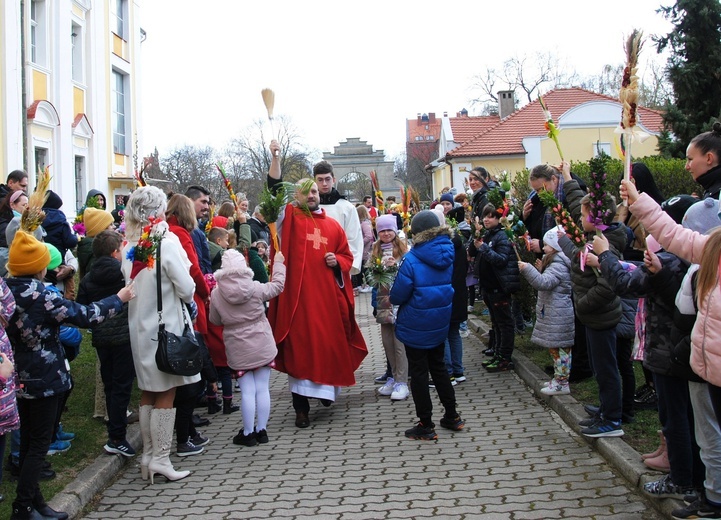 Niedziela Palmowa w naszych parafiach