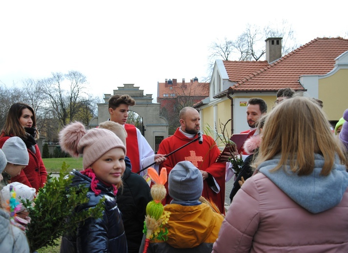 Niedziela Palmowa w naszych parafiach