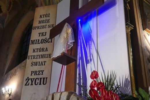 Liturgia Wielkiego Piątku w konkatedrze Narodzenia NMP w Żywcu - 2022