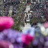 Kilkadziesiąt tysięcy młodych Włochów spotka się z papieżem