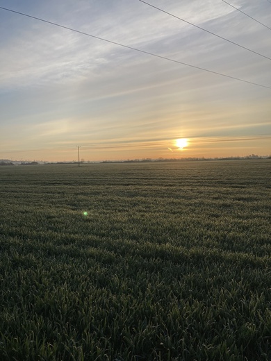 Środa Śląska. Droga Marii Magdaleny 