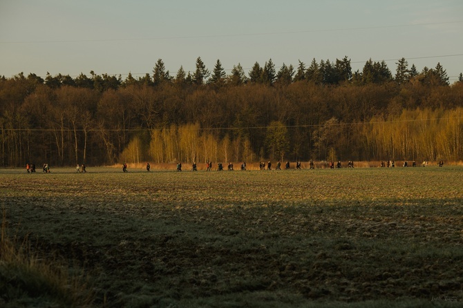 Środa Śląska. Droga Marii Magdaleny 