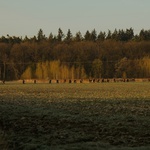 Środa Śląska. Droga Marii Magdaleny 