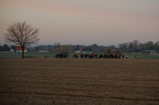 Środa Śląska. Droga Marii Magdaleny 