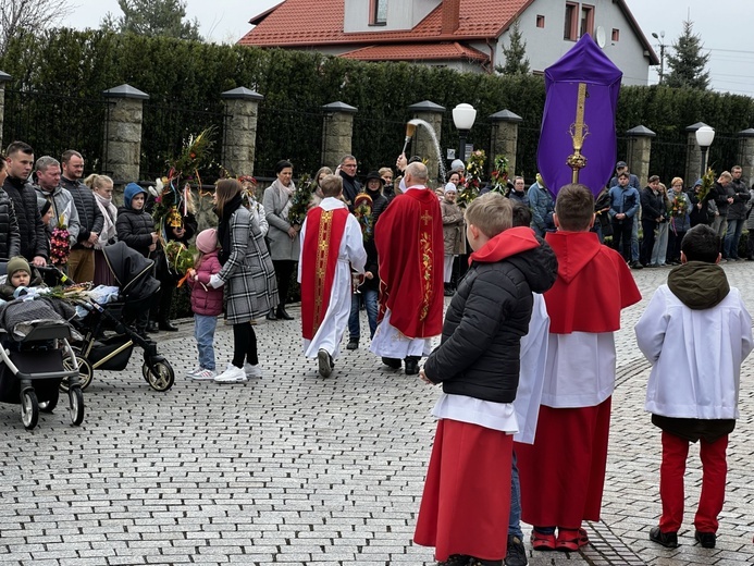 Niedziela Palmowa w parafii św. Bartłomieja w Czańcu - 2022